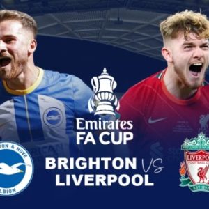 Phong độ gần đây của Liverpool và Brighton